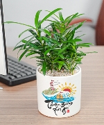 Nho Ninh Thuận